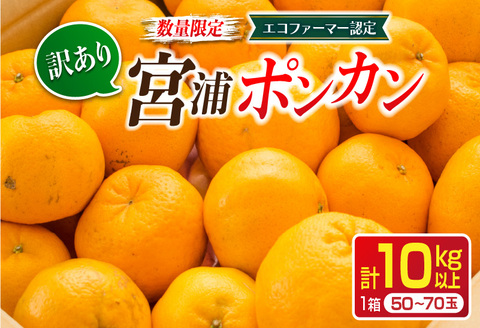 先行予約 訳あり 数量限定 宮浦 ポンカン 計10kg以上 フルーツ 果物 くだもの 柑橘 みかん 国産 食品 期間限定 訳アリ おすすめ デザート おやつ フルーツサンド ジュース ご家庭用 ご自宅用 B品 おすそ分け 不揃い 傷 産地直送 宮崎県 日南市 送料無料 日南市 うめぇもん祭_CA54-24