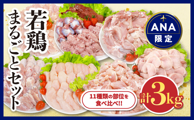 [ANA限定]若鶏 まるごと セット 合計3kg以上 鶏肉 国産 チキン 鶏もも肉 鶏むね肉 切身 ささみ 肝 砂肝 小肉 手羽先 手羽中 手羽元 肩肉 骨付きもも 人気 小分け おかず お弁当 食品 真空パック BBQ お取り寄せ おすすめ 記念日 お祝い おすそ分け 日南市 宮崎県 送料無料_CA57-24