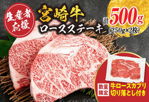 [最短2週間以内で発送]生産者応援 宮崎牛 ロースステーキ 2枚(計500g)牛カブリ 切り落とし サーロイン リブロース 牛肉 黒毛和牛 国産 焼肉 BBQ おかず 人気 ギフト 贈り物 宮崎県 日南市 送料無料_C119-24-ZO-2W