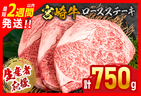 [最短2週間以内で発送]生産者応援 数量限定 宮崎牛 ロース ステーキ 3枚(計750g) 牛肉 ビーフ 黒毛和牛 ミヤチク 国産 ブランド牛 食品 おかず ディナー 人気 おすすめ 鉄板焼き 高級 贅沢 上質 ご褒美 お祝 記念日 イベント グルメ 枚数が選べる 宮崎県 日南市 送料無料 日南スピード配送_DB26-24-2W