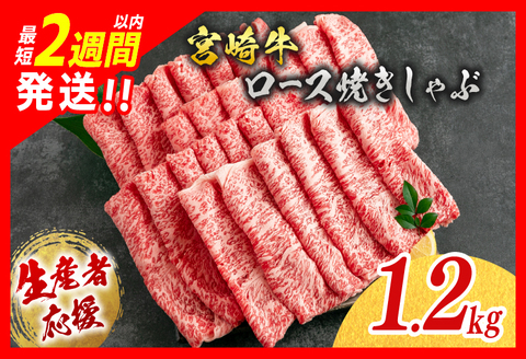 [最短2週間以内で発送]生産者応援 数量限定 宮崎牛 ロース 焼きしゃぶ 計1.2kg 牛肉 ビーフ 黒毛和牛 ミヤチク 国産 ブランド牛 食品 おかず おすすめ 贅沢 イベント お取り寄せ グルメ パック数が選べる 送料無料 日南市 日南スピード配送_FD5-24-2W