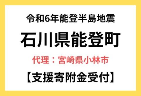 令和6年能登半島地震 能登豪雨 能登町災害支援寄附受付（C217）