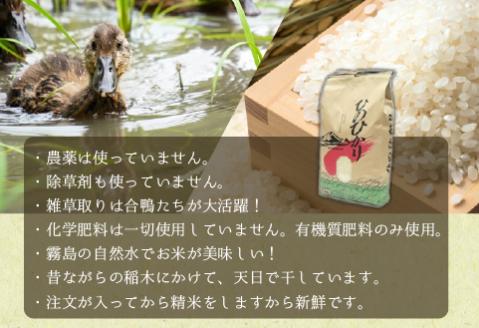 【安心安全！合鴨農法】あいがも米（精米済みヒノヒカリ）　5kg