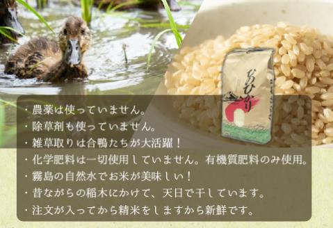 【安心安全！合鴨農法】あいがも米（玄米ヒノヒカリ）　5kg