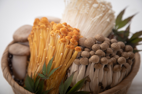【農場直送】もぎたて霧島きのこと炊き込みご飯の素セット 約3.3kg（えのき茸 エリンギ ブナしめじ しめじ やしゃ茸 生きのこ 農場直送）