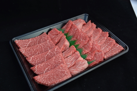 【数量限定】A5等級 小林市産宮崎牛赤身づくし焼肉用 600g（内閣総理大臣賞4大会連続受賞 牛肉 黒毛和牛 宮崎牛 牛肉 お肉 焼肉）