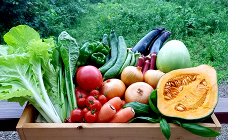【自然が育む新鮮野菜】こばやし季節の野菜詰め合わせセット