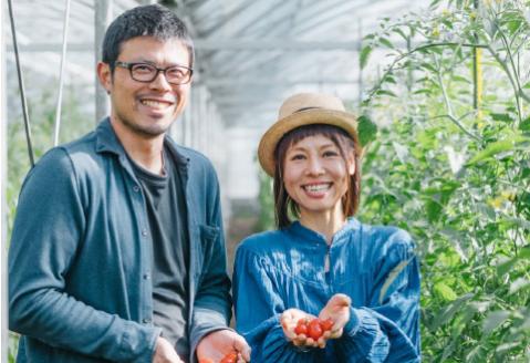 まるごとトマトギフト<OGAWA　FARM>