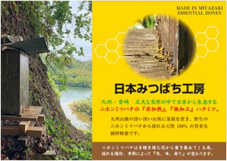 【山奥で採れる天然地蜜】天然100％純粋蜂蜜 600g