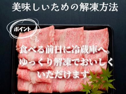 【限定・プレミアムシリーズ】厳選宮崎牛メス指定 A5等級リブロースすき焼き 500g（国産 牛肉 黒毛和牛 宮崎牛 希少部位 ロース すき焼き 冷凍 産地直送）