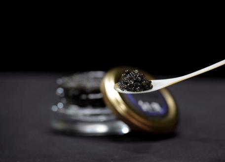 【純国産キャビア】皇帝の涙２種食べ比べおためしセット 10g 国産 チョウザメ キャビア オシェトラ 食べ比べ