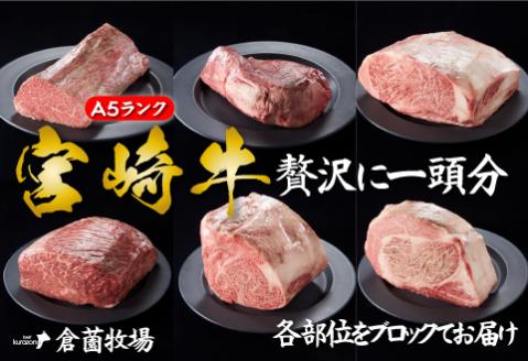 【倉薗牧場直送】長期育成牛・小林市産くらぞの宮崎牛A5等級　一頭セット