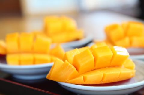 【先行予約！フルーツ定期便：全5回】こばやし季節のフルーツ　Cコース（先行予約 先行受付 国産 フルーツ シャインマスカット マンゴー 数量限定 産地直送 送料無料）