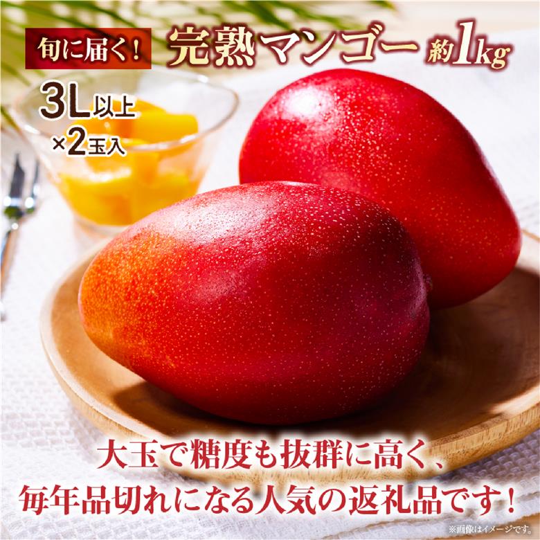 【先行受付】厳選大玉宮崎完熟マンゴー 2玉 計1kg程度（フルーツ 2026 マンゴー 先行予約 完熟マンゴー 宮崎 小林市 果物 人気）