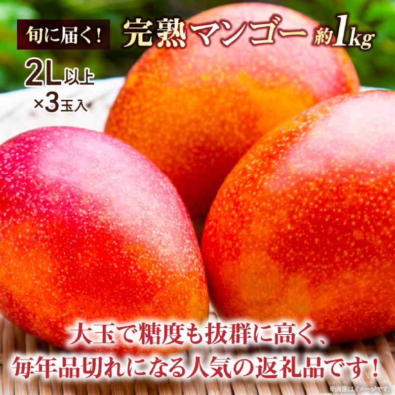 【先行受付】厳選宮崎完熟マンゴーよくばり3玉 計1kg程度（フルーツ 2026 マンゴー 先行予約 完熟マンゴー 宮崎 小林市 果物 人気）