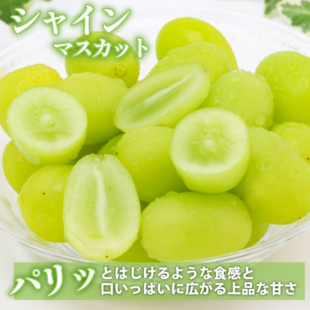 【先行予約 令和8年発送】完熟シャインマスカット等と梨セット 計4kg（フルーツ 果物 くだもの シャインマスカット ブドウ ナシ 先行受付 2026 贈答用 プレゼント 限定）