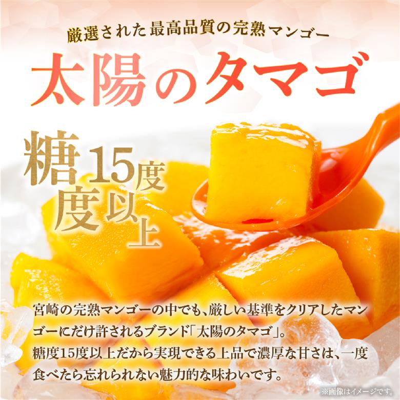 【先行受付】厳選宮崎完熟マンゴー「太陽のタマゴ」よくばり3玉 計1kg程度（マンゴー 完熟マンゴー 太陽のタマゴ フルーツ 先行予約 宮崎 果物）