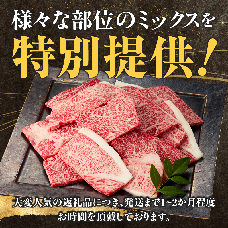 A4等級以上 宮崎牛 訳あり 焼肉 バラエティパック 1kg（牛肉 肉 お肉 黒毛和牛 宮崎牛 ブランド牛 内閣総理大臣賞4大会連続受賞）