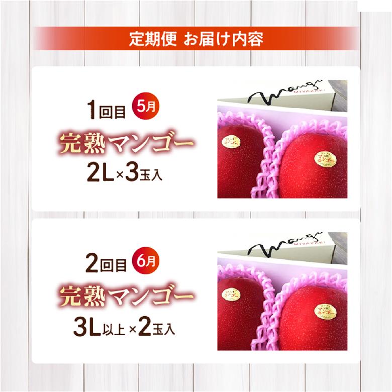 【先行予約！マンゴー定期便・全2回】小林市産「完熟マンゴー」コース(5月,6月）定期便 フルーツ フルーツ定期便 2026 マンゴー 先行予約 宮崎 果物 人気
