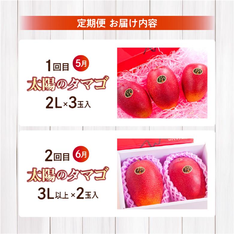 【先行予約！マンゴー定期便・全2回】小林市産 完熟マンゴー 「太陽のタマゴ」コース（定期便 フルーツ フルーツ定期便 2026 マンゴー 先行予約 太陽のタマゴ 宮崎 小林市 果物 人気）