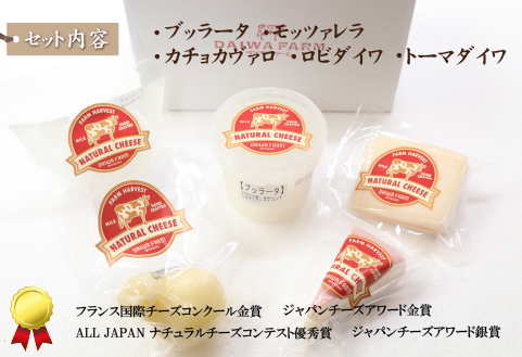 【朝どれミルク使用】できたてブッラータとナチュラルチーズの5種セット（国産 ナチュラルチーズ 乳製品 チーズ コンテスト受賞  人気 霧島 宮崎 小林市 地域限定）