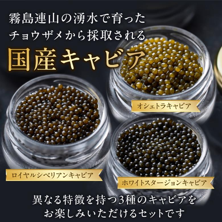 【純国産キャビア】皇帝の涙スペシャルセレクション 60g 国産 チョウザメ キャビア オシェトラ 食べ比べ