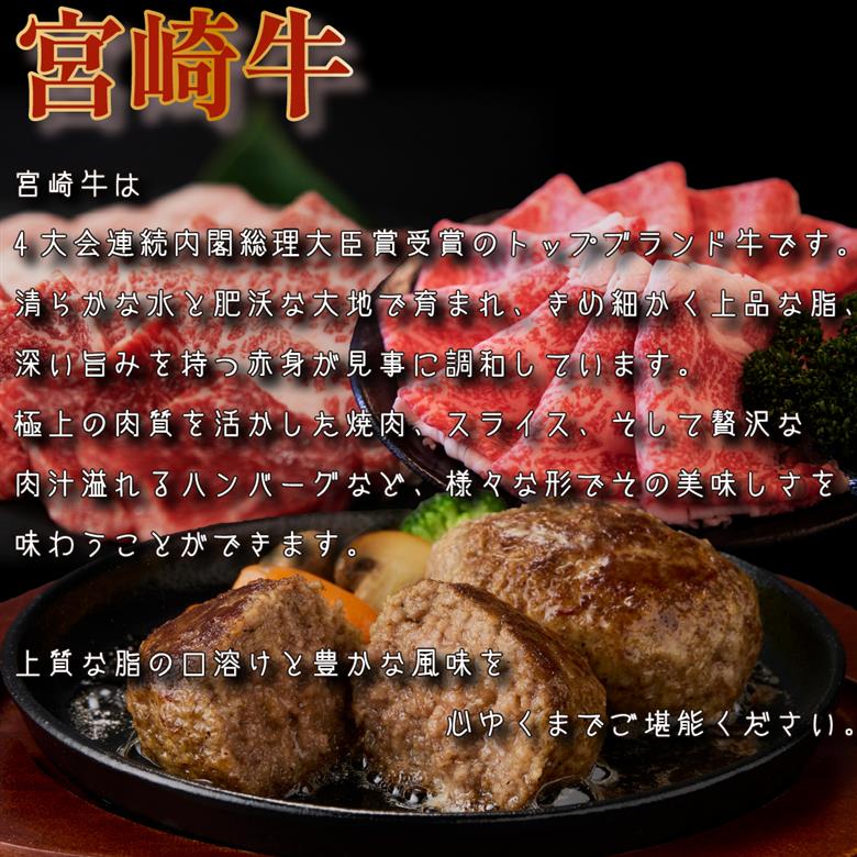 【定期便・全9回】日本一宮崎牛と小林市の魅力満載!!! 小林満足おためし定期便 10万円コース（国産 牛肉 国産牛 和牛 黒毛和牛 すき焼き フルーツ お菓子  豚肉 鶏肉 スイーツ 定期便） 全９回おためし定期便