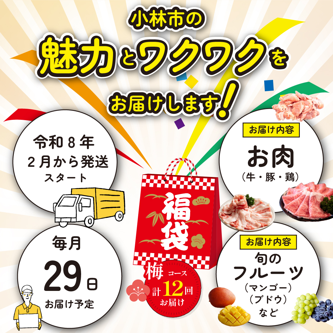 【定期便・全12回】新春おたのしみ 福袋  梅（牛肉 豚肉 鶏肉 果物 フルーツ 限定 2026 定期便 宮崎 小林市）