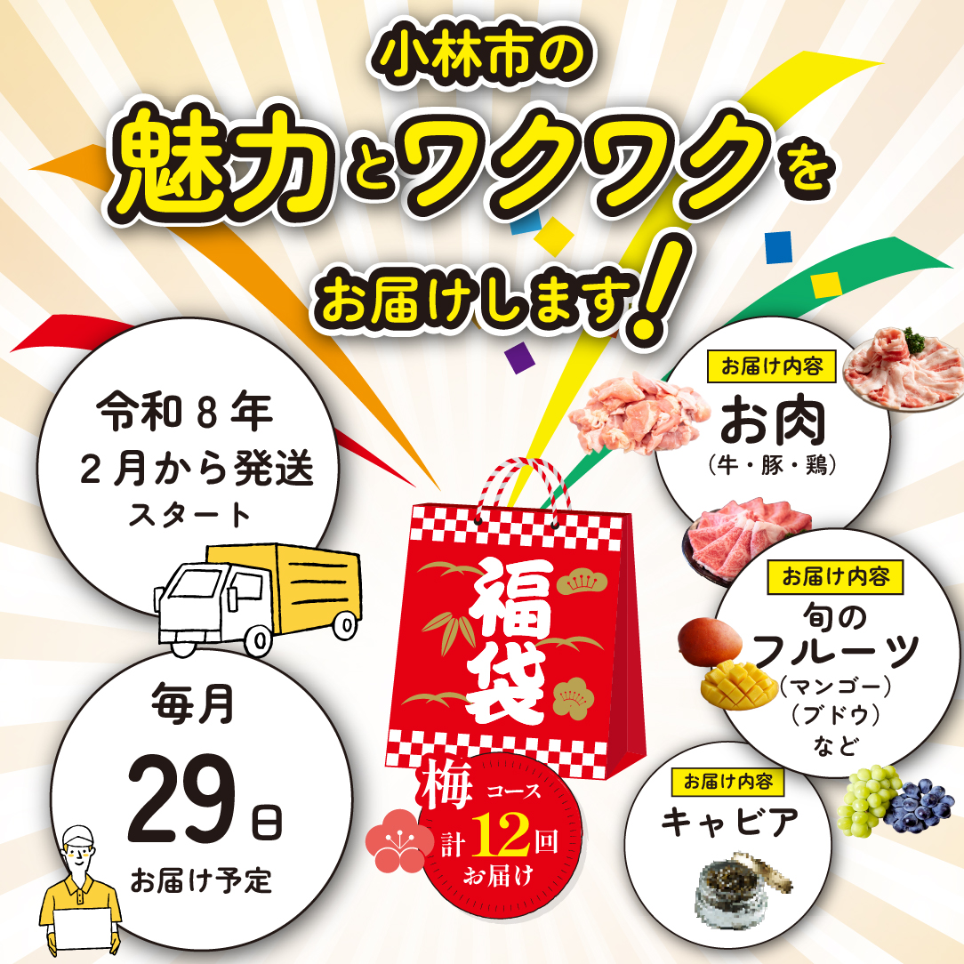 【定期便・全12回】新春おたのしみ 福袋  竹（牛肉 豚肉 鶏肉 果物 フルーツ 2026 限定 定期便 宮崎 小林市）