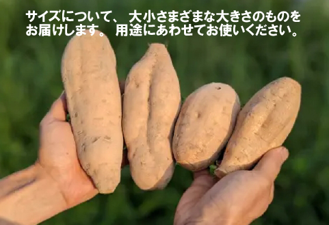 【希少品種】小林市産さつまいも「霧島むつき」3.5kg（さつま芋 希少 旬 訳あり 家庭用 焼き芋 大学いも お菓子）