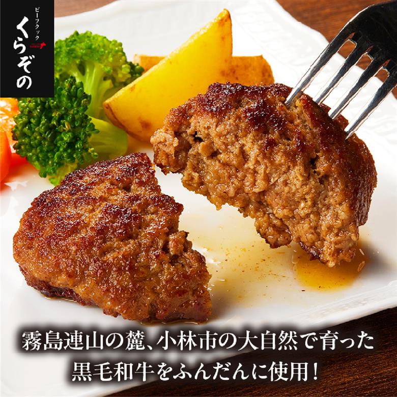 【黒毛和牛100％】黒毛和牛専門店の贅沢ハンバーグ（計8個）（ハンバーグ 牛肉 牛肉100% 国産 冷凍 調理済 宮崎 惣菜 小林市） 120g×8個
