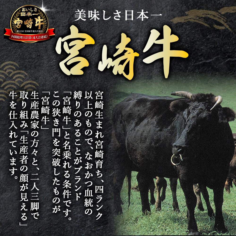 【人気鉄板焼き店厳選】熟成宮崎牛A4等級霜降り・赤身焼肉食べ比べセット　オリジナルソース付き（国産 牛肉 黒毛和牛 宮崎牛 焼肉 すき焼き 赤身 霜降り 特製タレ付き）
