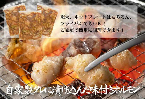 宮崎県産黒毛和牛濃厚味付けホルモン900g（ 牛 国産 ホルモン 300g 3パック 焼肉 炒め物）