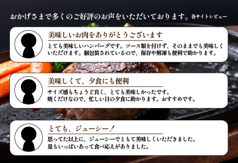 【おためし３個付き！】黒毛和牛専門店の国産黒毛和牛100％の贅沢ハンバーグ（計11個）（ふるさと納税 国産 牛肉 黒毛和牛 ハンバーグ 冷凍 特別提供）