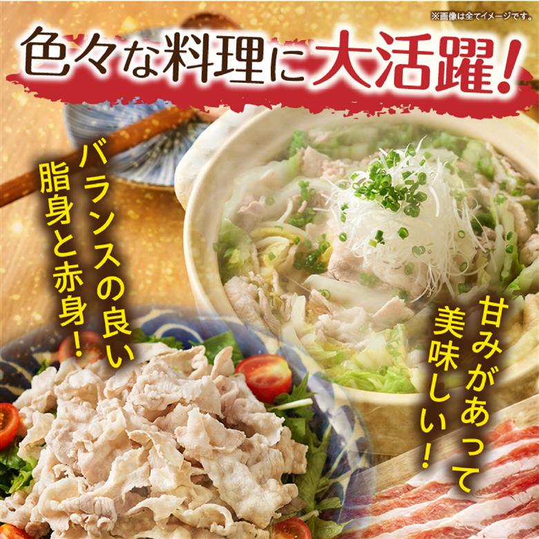 【4月発送・毎月数量限定受付】国産 豚 みやざきブランドポーク バラスライス　2キロ（500g×4Ｐ 国産 豚肉 豚バラ肉 生姜焼き 焼肉 スライス 限定 小分け 宮崎 冷凍） 4月発送