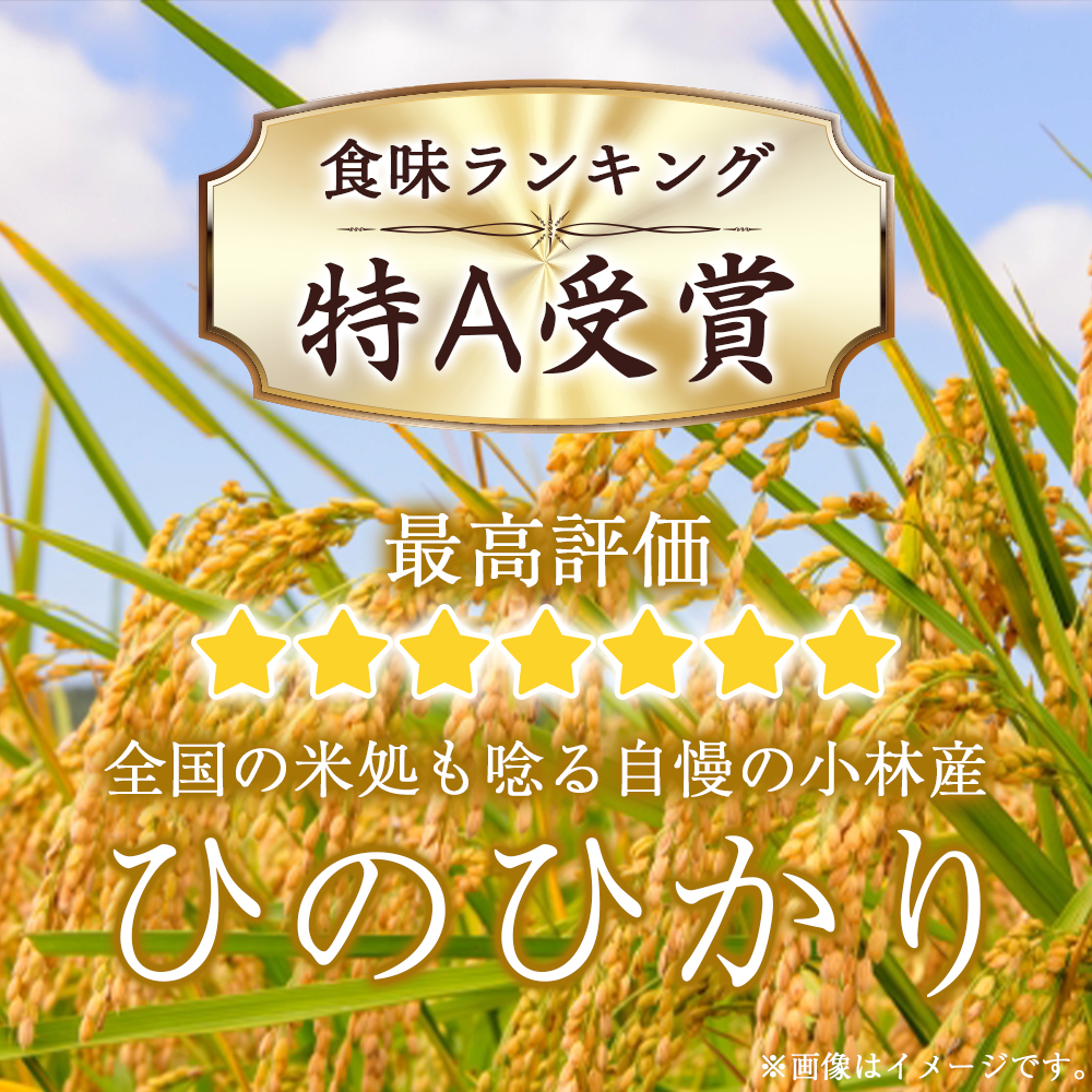 【定期便 全12回】【令和7年産米】ヒノヒカリ 10kg×12回 お米 米 新米 ヒノヒカリ 国産 人気 お弁当 宮崎県 小林市 10kg（5kg×2袋）×12回