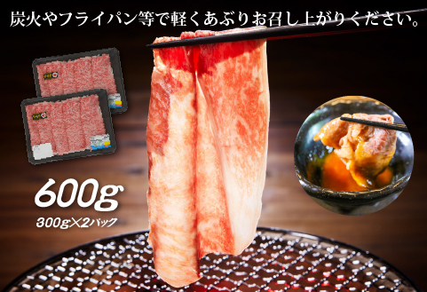 【生産者応援】宮崎牛ロース焼きしゃぶ600g（300g×2P 宮崎牛 和牛 国産 牛肉 霜降り ロース スライス 冷凍 送料無料） 300g×2P