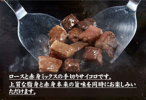 【訳あり特販用】宮崎牛ロース＆赤身手切りサイコロ600g+おためし100g　計700g（国産 牛肉 訳あり 和牛 サイコロ ステーキ 焼肉 BBQ 厚切り A4等級以上 赤身 霜降り 冷凍 送料無料）