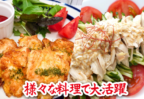 【手間いらず！】宮崎県産若鶏スジなしささみ2.5kgセット（250g×10P 国産 鶏肉 若鶏 ササミ 大容量 冷凍）