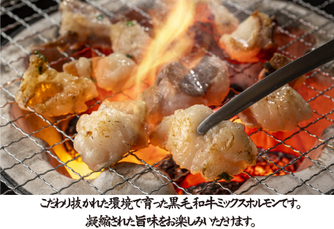 【自社農場和牛】黒毛和牛ミックスホルモン 500g（国産 牛肉 黒毛和牛 ホルモン 焼肉 BBQ 冷凍）