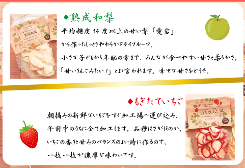 【旬の果物100％】果物好きのためのドライフルーツ おためし4種セット