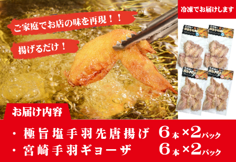 【手羽先サミット殿堂入り！】極旨塩 手羽先 唐揚げ 手羽ギョーザ セット 計24本（国産 鶏肉 手羽先 ギョウザ 餃子 塩 味付き 人気）