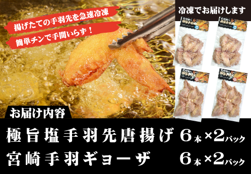 【レンジでチンするだけ♪】極旨塩手羽先唐揚げ 宮崎手羽ギョーザ セット（鶏肉 手羽先 手羽 唐揚げ 餃子 ギョウザ 調理済み 冷凍 人気）