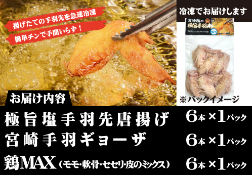 【レンジでチンするだけ♪】極旨塩手羽先唐揚げ 手羽ギョーザ 鶏MAX！セット（鶏肉手羽先 唐揚げ 餃子 もも肉 せせり 鶏皮 調理済み）