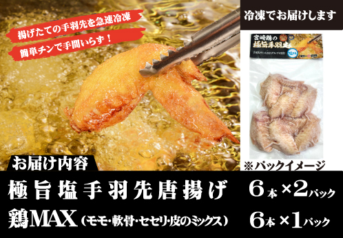 【レンジでチンするだけ♪】極旨塩 手羽先 唐揚げ 鶏MAX！セット（鶏肉 手羽先 手羽 唐揚げ もも肉 鶏皮 せせり 調理済み 冷凍 人気）