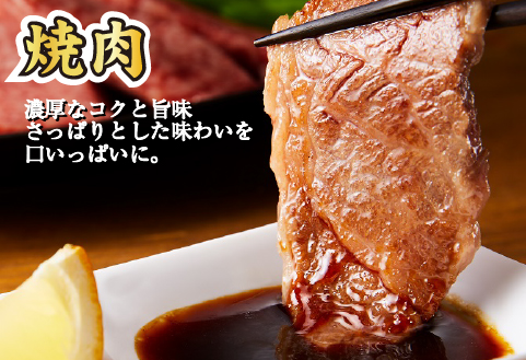 宮崎和牛 赤身焼肉 ＆ 赤身サイコロステーキセット 計1kg（牛肉 和牛 黒毛和牛 赤身 焼肉 ステーキ サイコロ 人気）