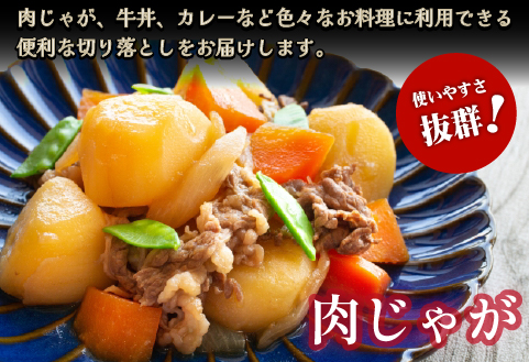 【黒毛和牛専門店直送】厳選黒毛和牛切り落とし 2.0kg（500g×4P 国産 牛肉 和牛 薄切り スライス 切り落とし 赤身 訳あり 特別提供）