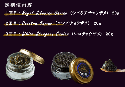 【キャビア定期便】皇帝の涙3種食べ比べ定期便（キャビア オシェトラ シベリア 定期便 魚介 魚卵 おつまみ）