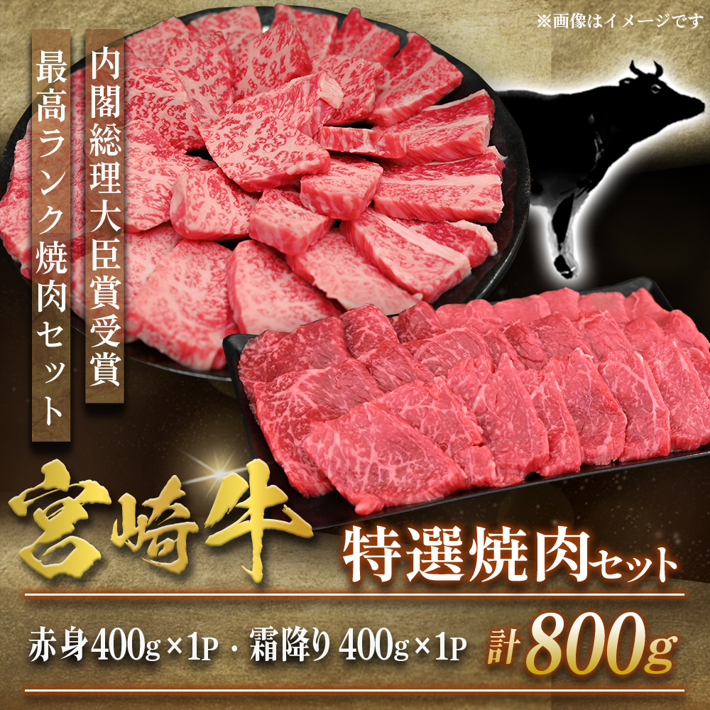【選べる容量】【A5等級】宮崎牛 特選焼肉セット 計800g（赤身・霜降り） 宮崎牛 プレミアムシリーズ ブランド牛 和牛 牛肉 焼肉 特選和牛 霜降り A5 宮崎県 小林市 800g