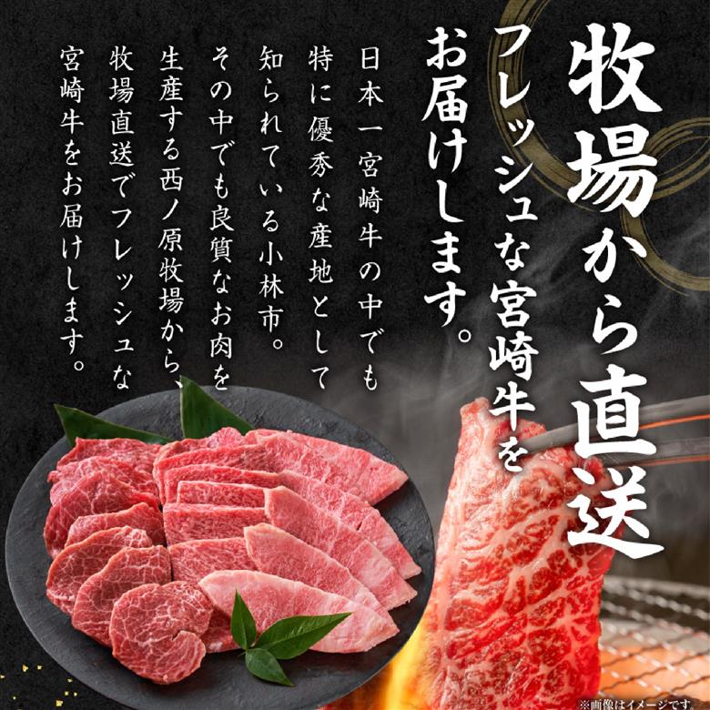 【西ノ原牧場直送】大人気！A4等級以上宮崎牛バラエティ焼肉用 800g（国産 国産牛 肉 牛肉 宮崎牛 黒毛和牛 お肉 ロース 焼肉 内閣総理大臣賞4大会連続受賞 特別提供） 400g×2P
